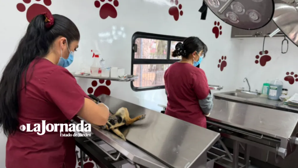 Tecámac estrena quirófano móvil de última generación: 90 cirugías de mascotas al día