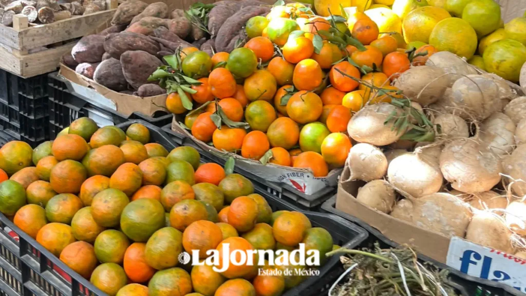 Canasta básica con variaciones mínimas en Toluca