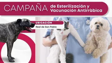 Toluca anuncia campaña de esterilización gratuita en Real de San Pablo