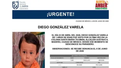 Ficha de búsqueda de Diego González Varela, menor desaparecido en Santa María Ticomán, alcaldía Gustavo A. Madero.