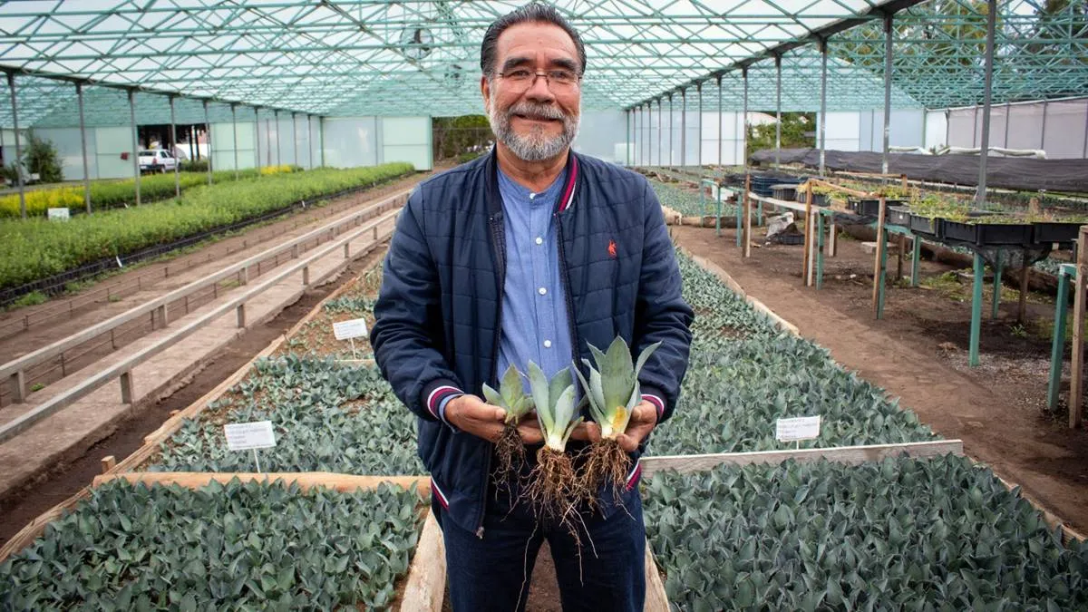 GEM promueve producción de planta forestal con aserrín