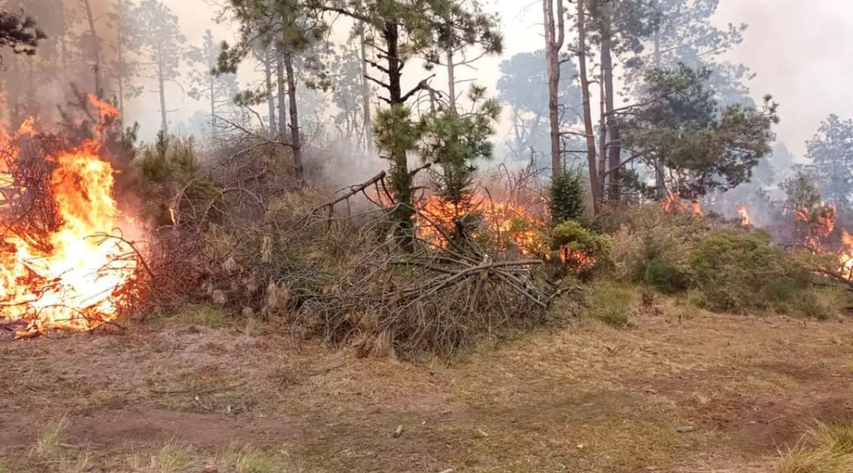 Esto se debe a que ayer por la noche las condiciones meteorológicas no fueron favorables y por ello los brigadistas tuvieron que suspender los trabajos de combate al fuego, principalmente en Valle de Bravo. Foto: Especial