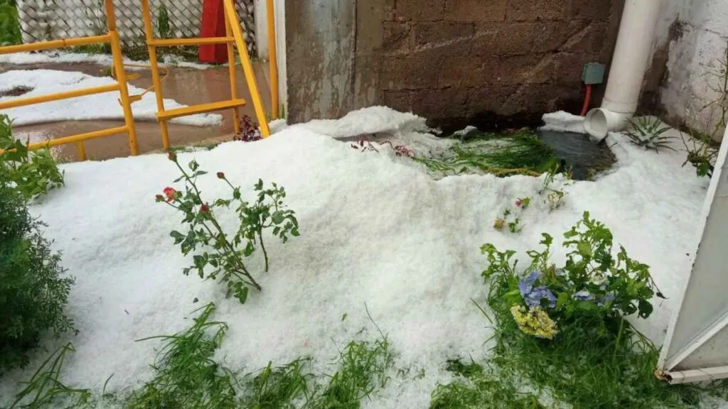 Cola de agua en Zinacantepec genera encharcamientos y caída de árboles