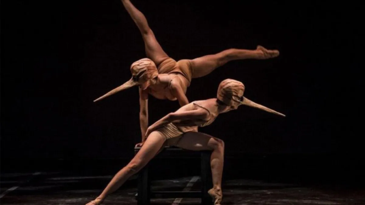Temporada de Compañía de Danza del Estado de México culminará con una obra original