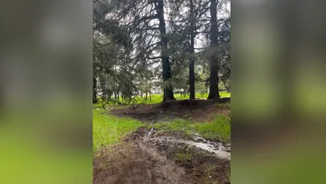 En bosques del Edomex detectan cambios en el comportamiento del agua por apertura de caminos