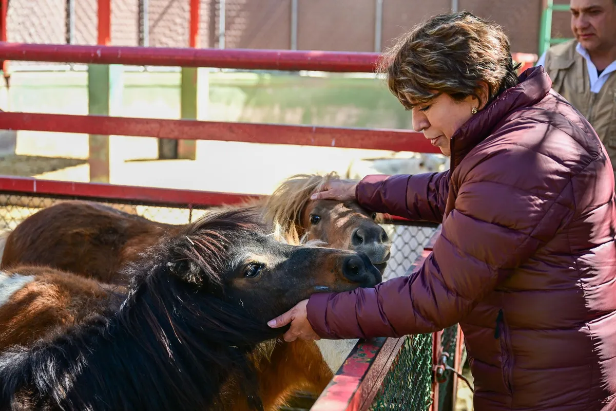 El Zoológico cuenta con más de 50 años de historia, la Mandataria estatal destacó la importancia de preservar y fortalecer este sitio.