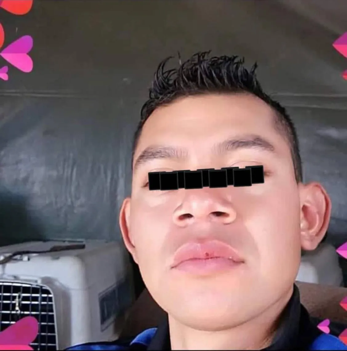 Exigen justicia por “Marlyn”, un pitbull apuñalado por supuesto militar en Teotihuacán