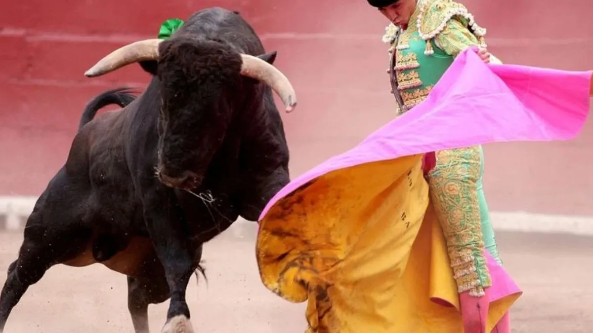 Prohíben las corridas de toros en la Plaza México de la CDMX