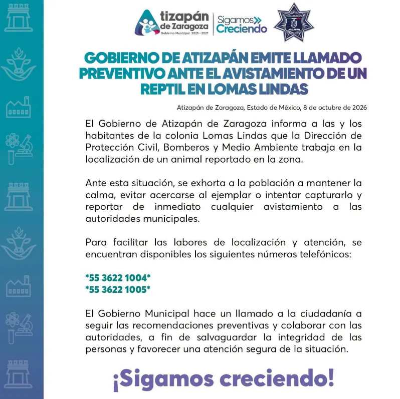 Enorme reptil prende alarmas en Lomas Lindas, Atizapán