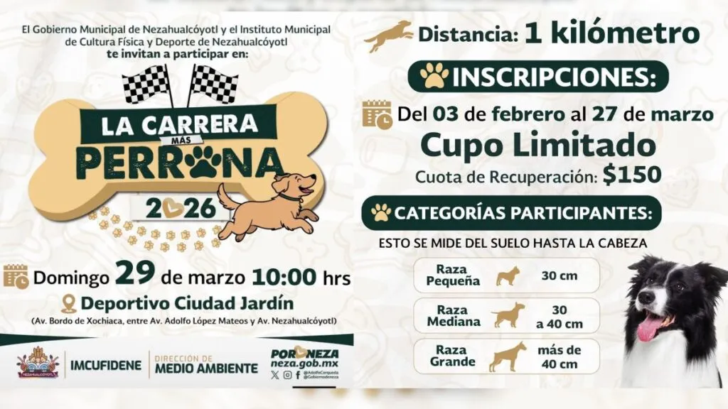 Carrera de mascotas en Neza: Así puedes participar y ganar 2,000 pesos