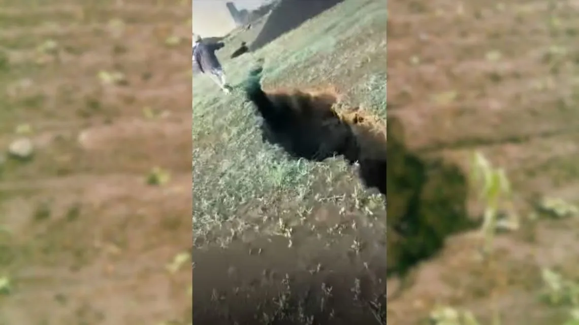 Cocotitlán: vecinos emiten alerta por aparición de grieta