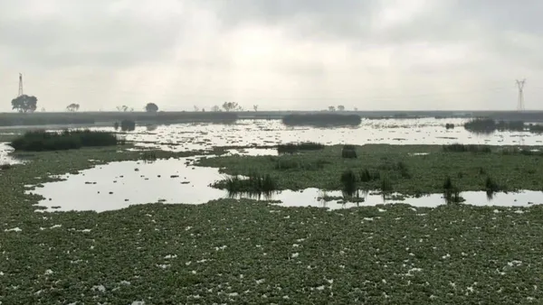 Río Lerma continúa con contaminación crónica: Estudio