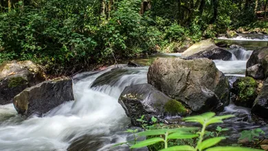 Parques recreativos del Edomex para descansar