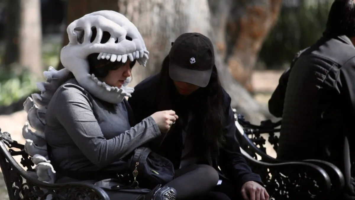 Estudio de la UNAM muestra que los jóvenes aprenden más de los memes que en espacios culturales tradicionales.