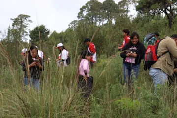 Continúa campaña de reforestación en Lerma