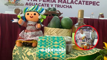 Aguacateros de Donato Guerra buscan justicia en el precio y mercados internacionales