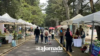 Mercadito Verde impulsa ventas y alternativas locales