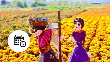 Festival de Día de Muertos en CDMX: ¿cuándo será y que actividades tendrá?