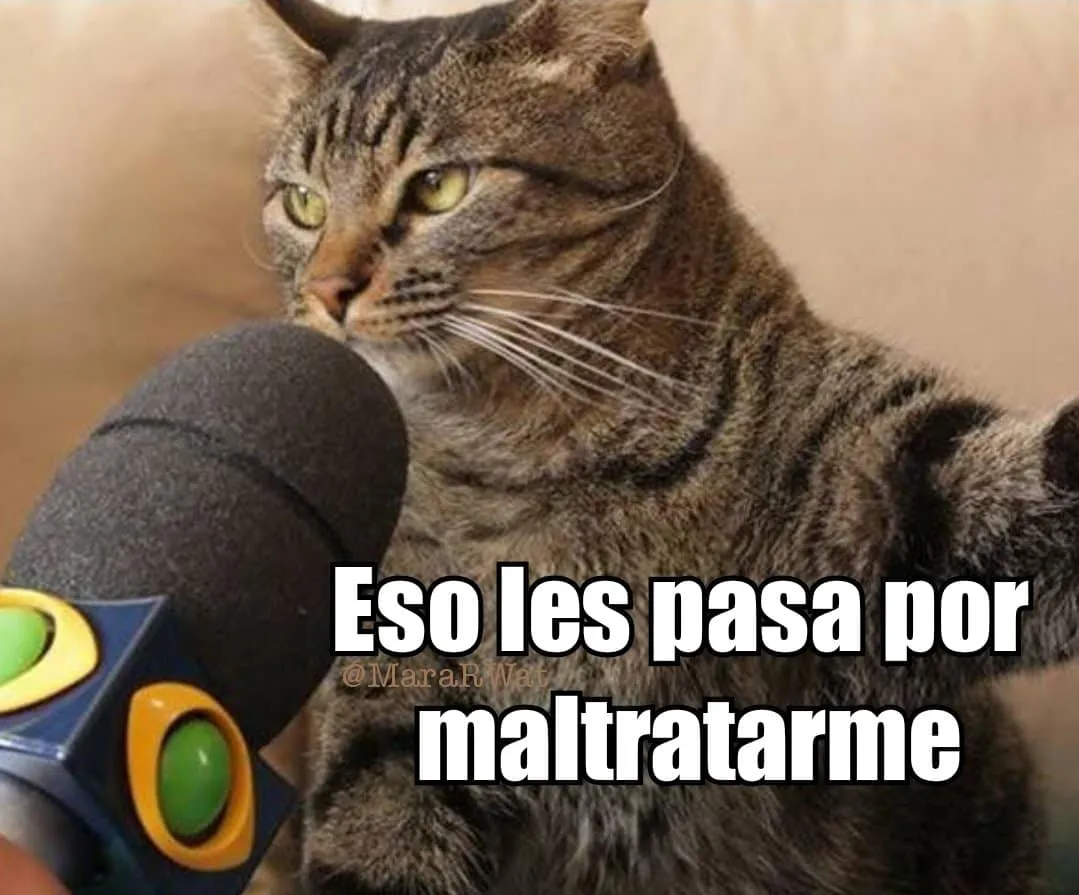 ¡La venganza del Michi!: Memes de Brasil tras su eliminación del Mundial
