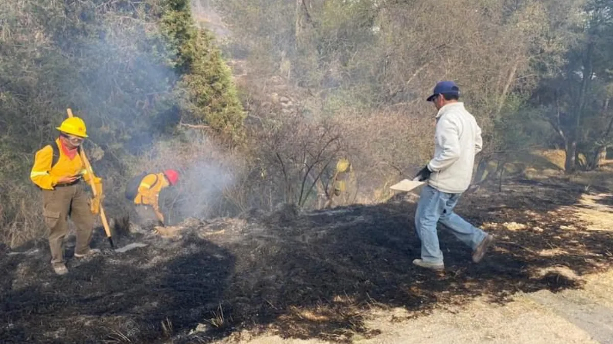 Estudiantes de Chapingo conforman brigada para combatir incendios forestales