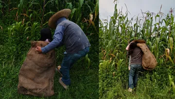 El mito del hombre del costal