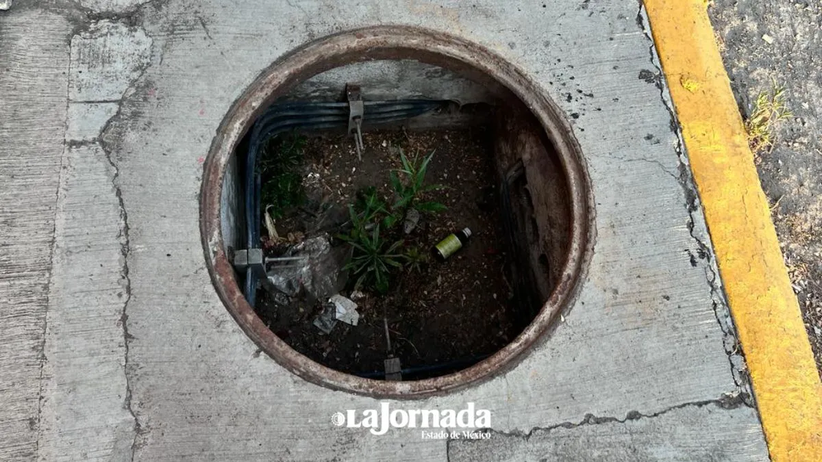 Vecinos denuncian aumento del robo de tapas de coladeras