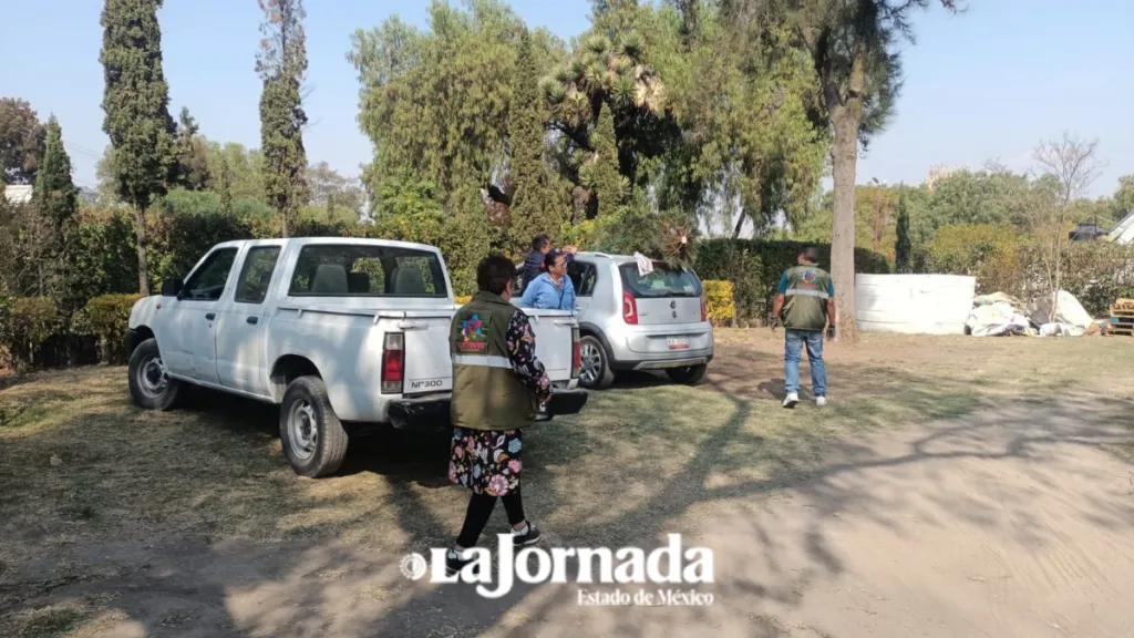 Ecatepec prevé generar 120 toneladas de composta con reciclaje de árboles de Navidad