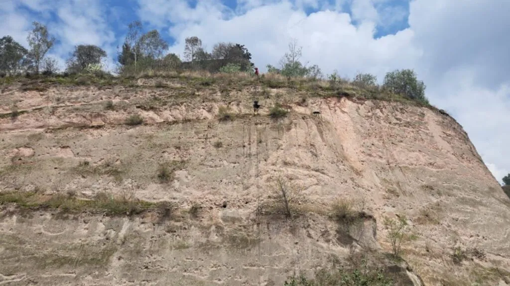 Texcoco: Rescatan a un perrito atrapado en una mina [VIDEO]