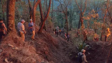 Ven diputados falta de coordinación para combatir incendios forestales en el Edomex