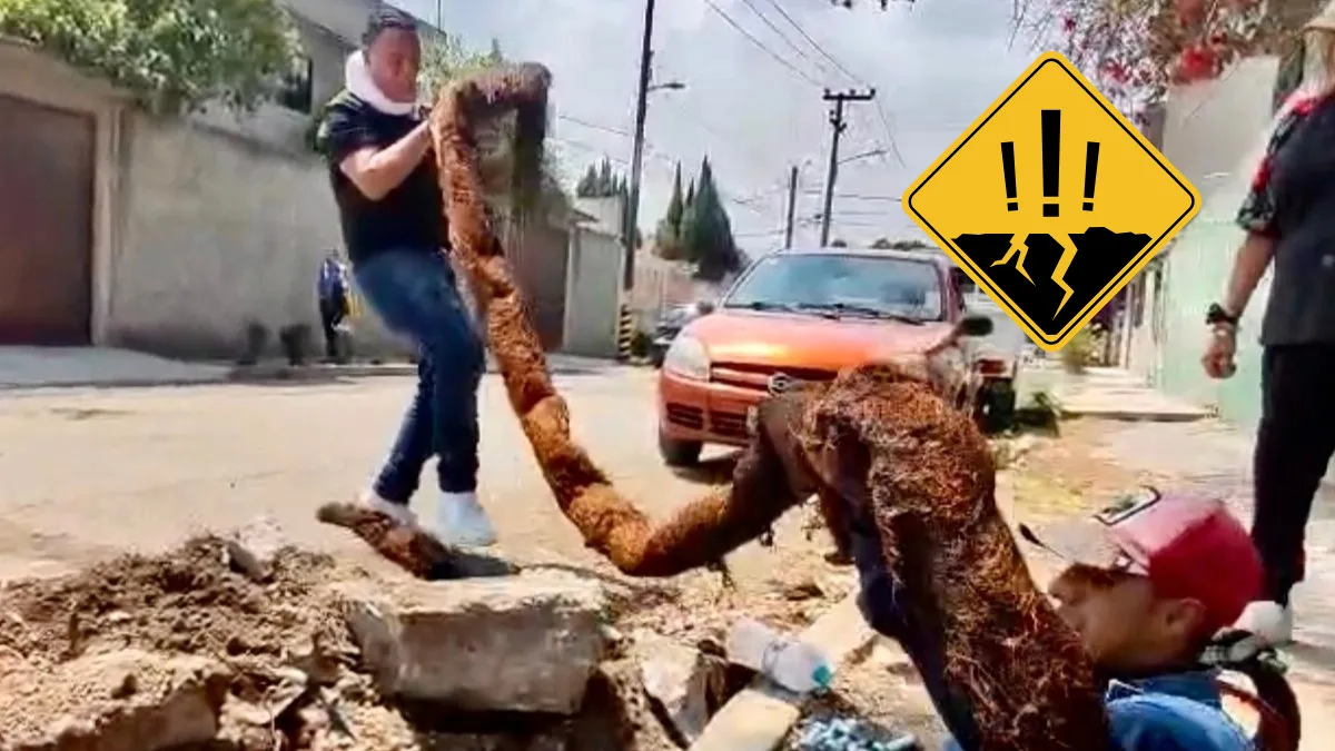 Una enorme raíz bloqueaba la red de agua potable en Ecatepec durante 10 años; Sapase logró retirarla y restablecer el servicio.