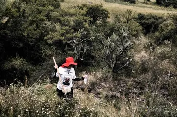 PAN Edomex exige peritajes urgentes ante hallazgos de restos humanos en Michoacán y bodegas de la FGR