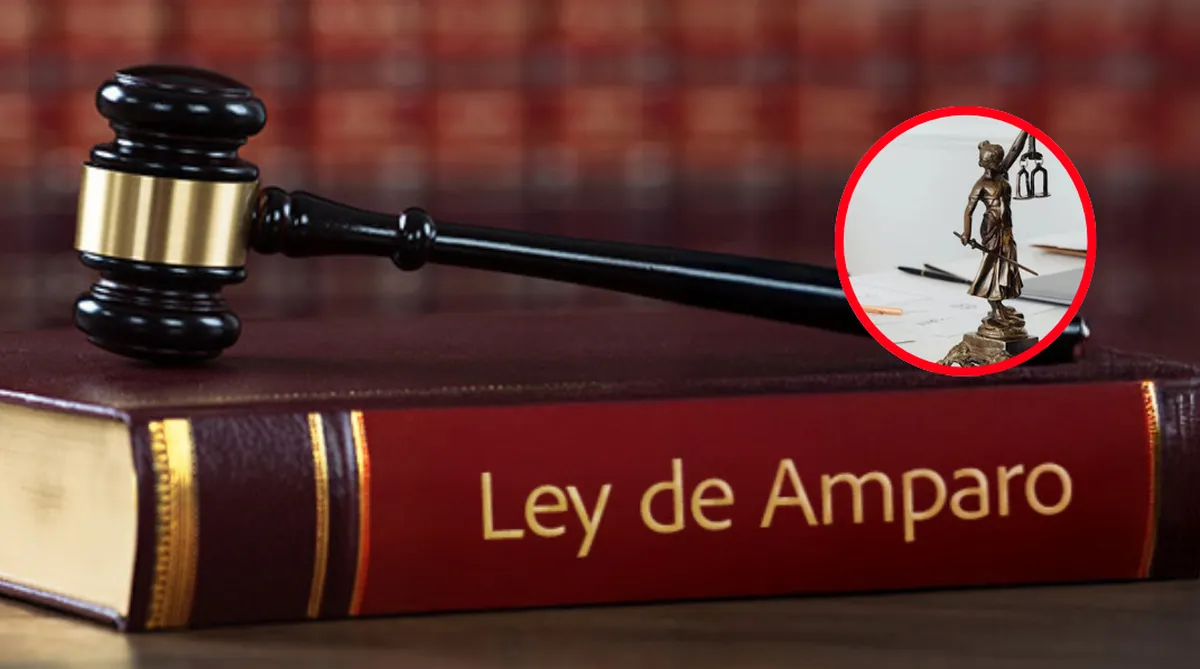 Ley de amparo abre vía a movimientos sociales con concepto de interés legítimo