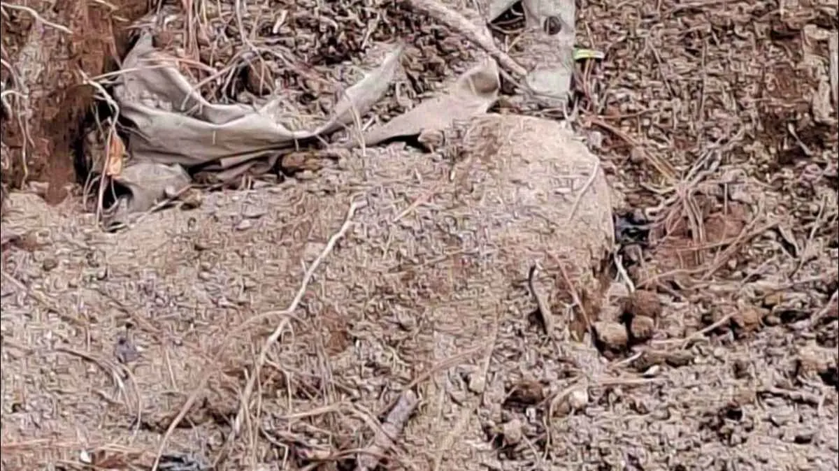 Confirman el hallazgo de fosa clandestina en Villa Guerrero, Edomex