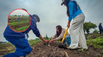 Agave salmiana: rescatan cultivo sustentable en la Semana de los Bosques mexiquenses