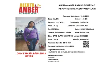 Alerta Amber: Se busca a Dulce María Bárcenas Reyes, desaparecida en  Chalco
