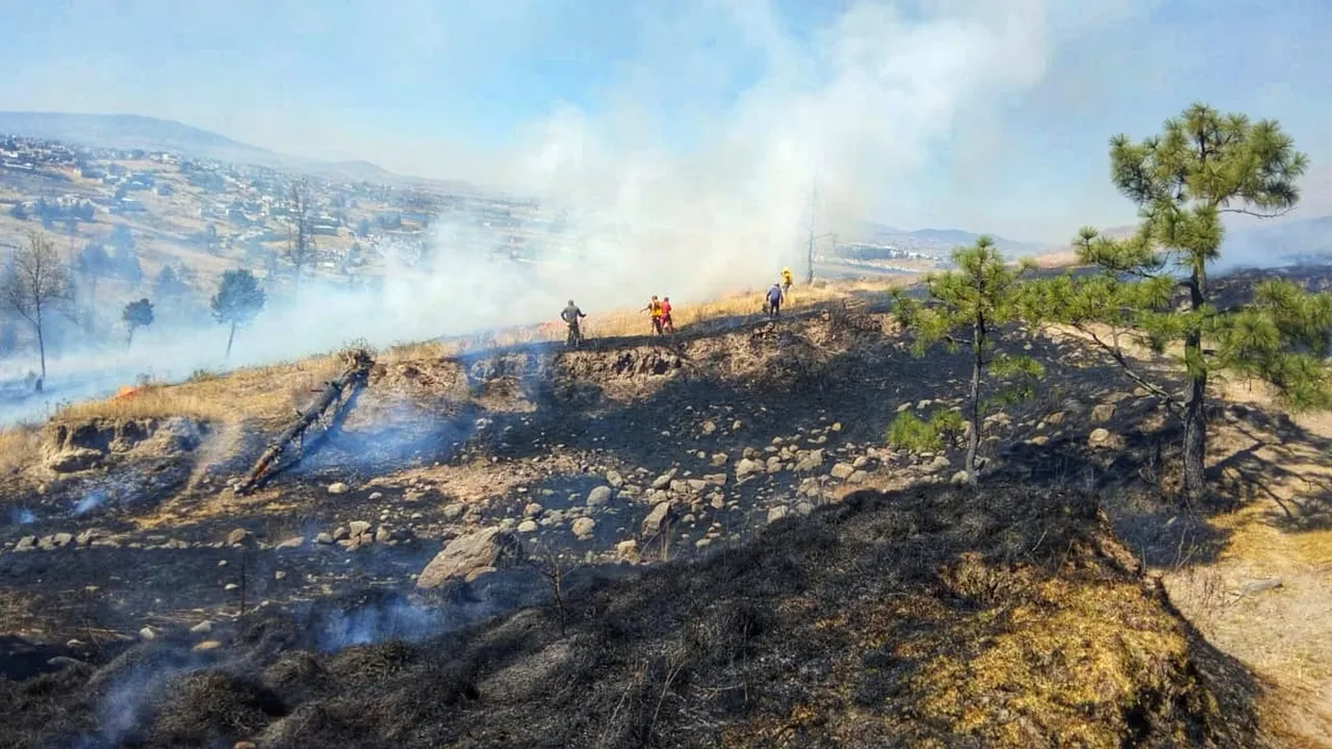 Brigada Forestal de Toluca, en alerta para proteger el medio ambiente