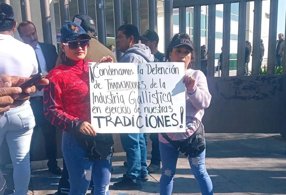 Los detenidos se encontraban domicilio de la colonia Nueva San Rafael, donde al parecer había una pelea de gallos.