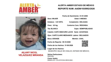 Alerta Amber: Se busca a Ailany Nicol Velázquez Miranda, desaparecida en  Valle de Chalco