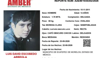 Alerta Amber: Se busca a Luis David Escobedo Arreola, desapareció en Ecatepec