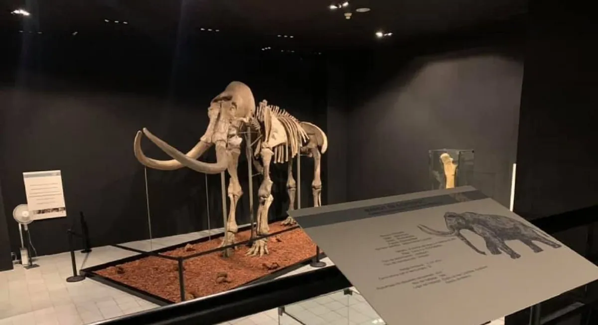 Conoce el Museo de Antropología e Historia del EDOMEX
