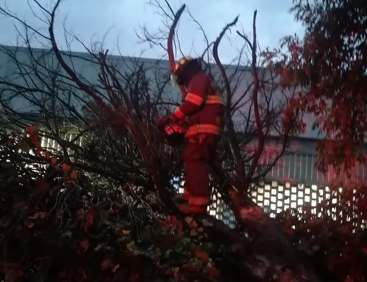 Protección Civil de Toluca atiende reportes por lluvias