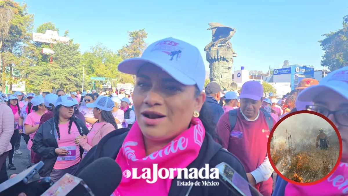 Edomex suma casi 40 carpetas por delitos contra el ambiente