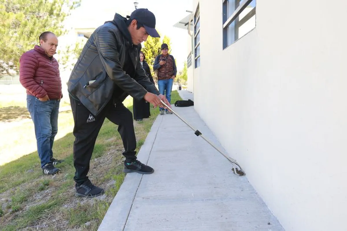 Hasta el momento no se han registrado ningún ataque de reptil o arácnido en la institución.