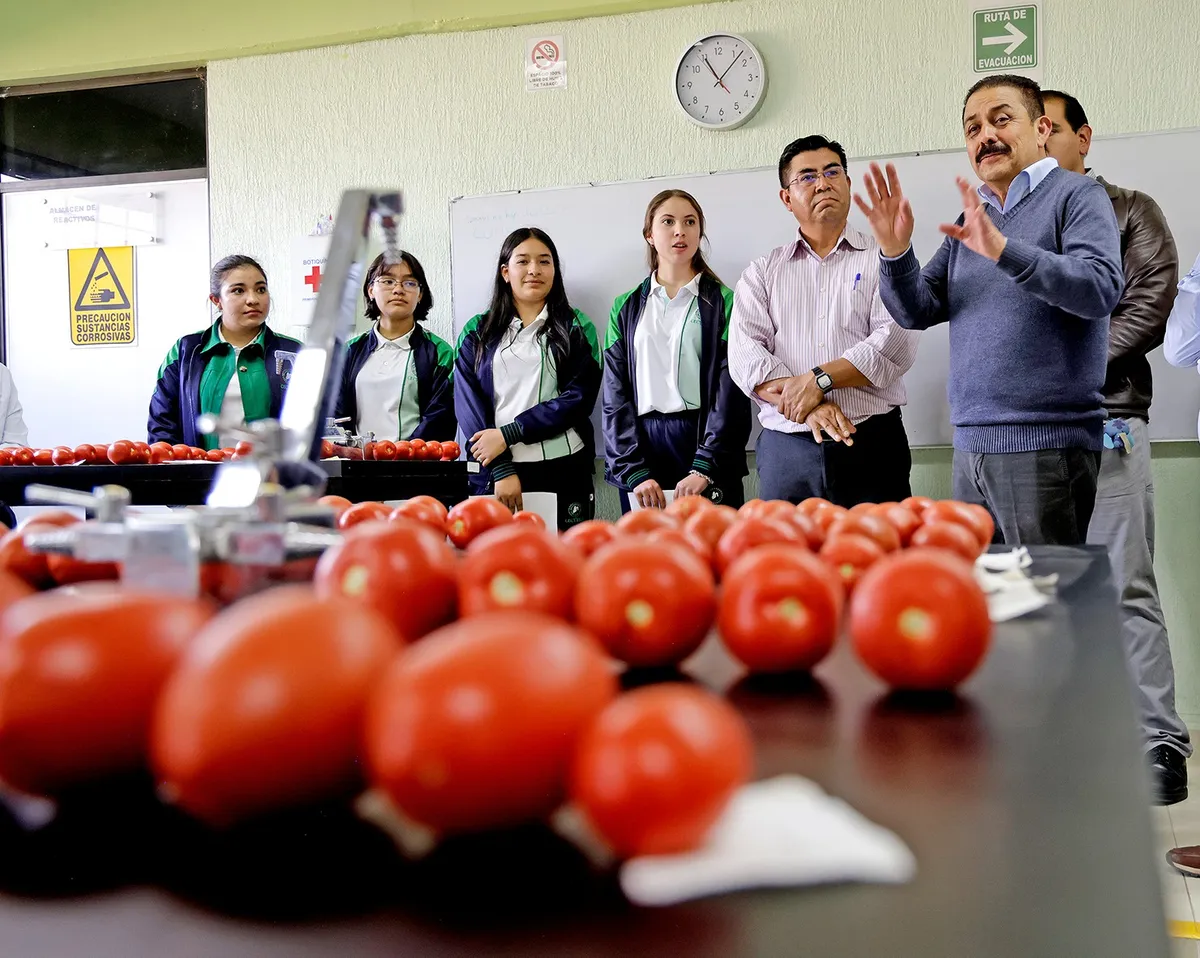 Estudiantes de Coatepec Harinas innovan con la hidroponía de jitomate
