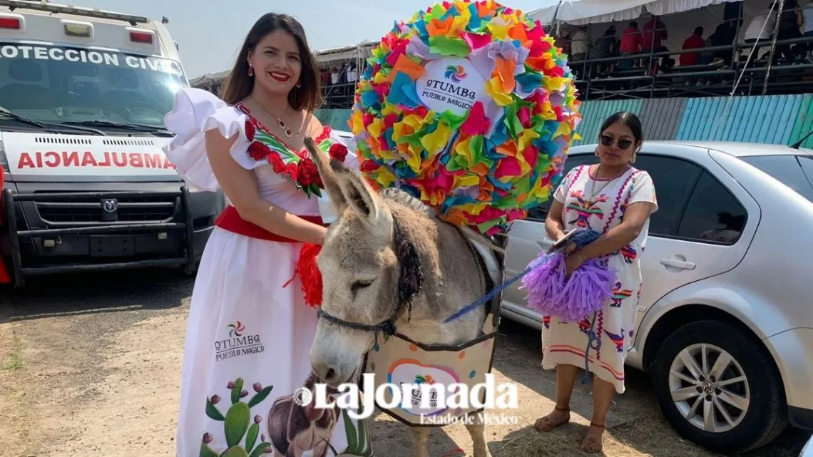 Otumba: The Donkey Sanctuary hará un censo y diagnóstico de los burros
