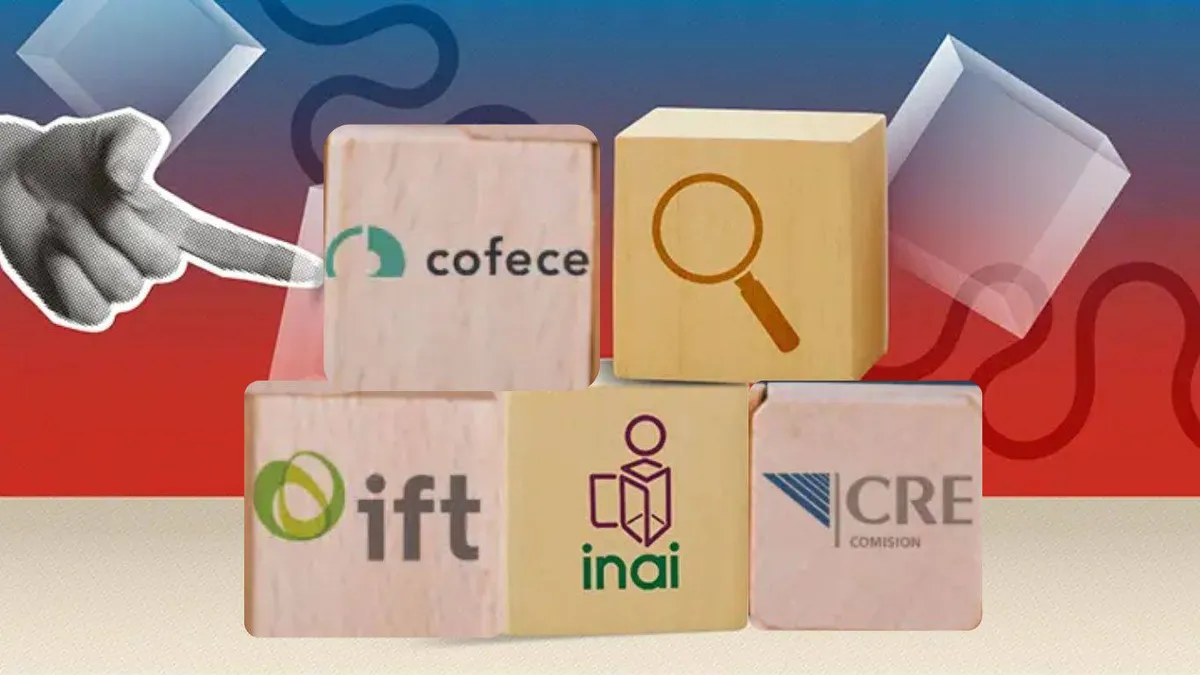 Eliminación de órganos independientes es retroceder: Especialista