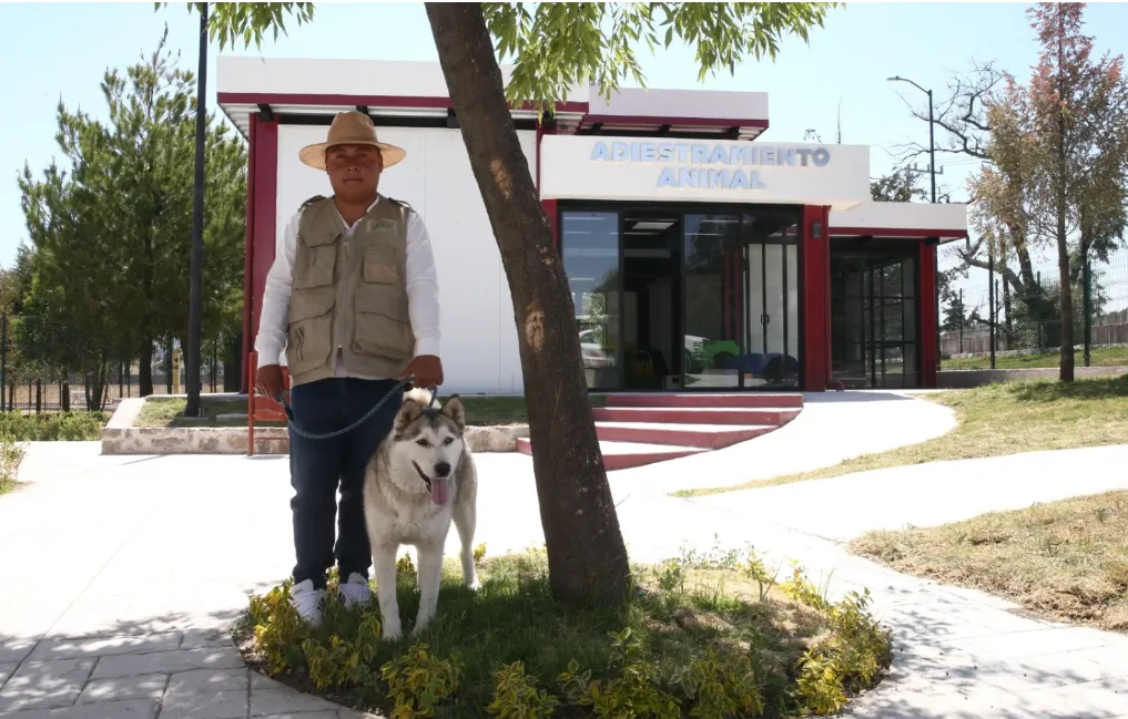 Maltrato animal en Edomex alcanza hasta 35 mil pesos de multa y cárcel