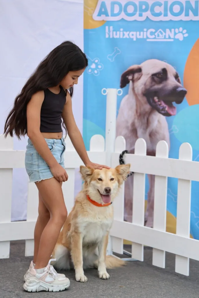 Logra “Huixquican” más de 430 adopciones de perritos que buscaban un nuevo hogar