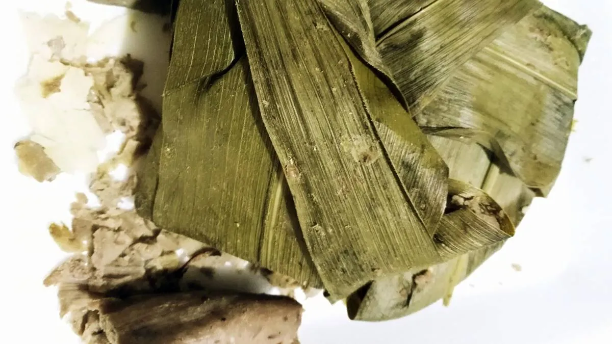 De maíz y haba: tamales para celebrar a la milpa en San Pedro y San Pablo Atlapulco