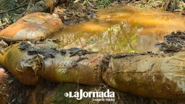 Afecta contaminación del río Temascaltepec a población, animales de granja y vegetación